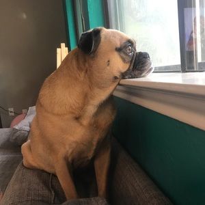 Meet your Posher, Rachel